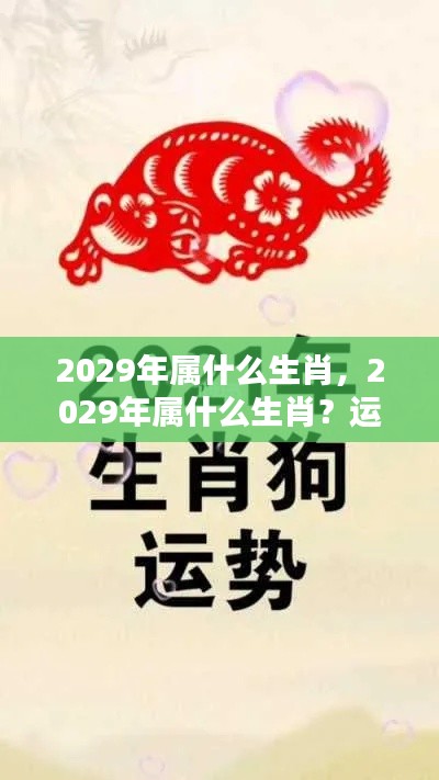 2029年属相运势揭秘，生肖运势走向大解析