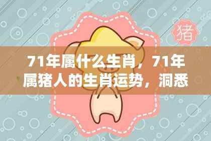 1971年生肖运势详解，猪的机遇与挑战分析