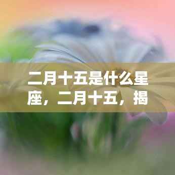 二月十五星座揭秘，运势之门开启，探寻属于你的星座命运