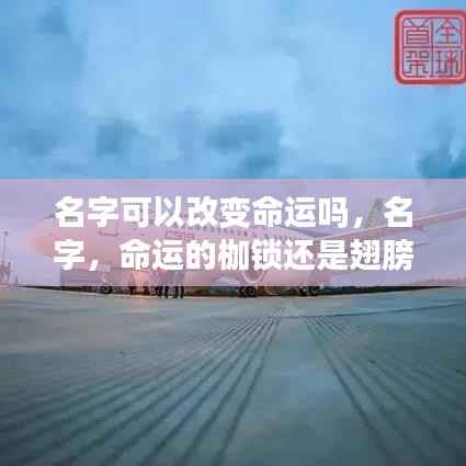 屈高就下 第6页