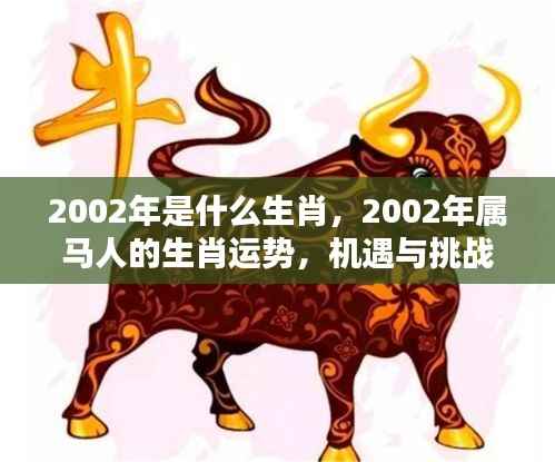 2002年属马人的生肖运势，机遇与挑战并存的一年回顾