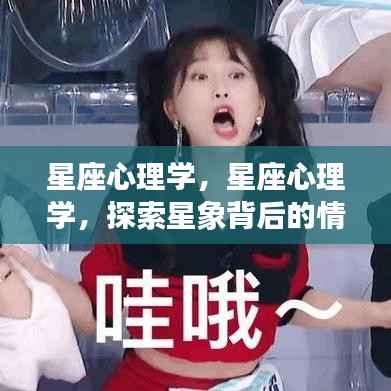 星座心理学，探索星象背后的情感奥秘之谜