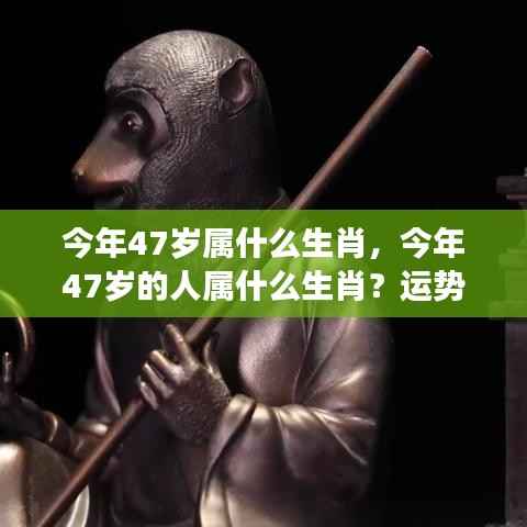 今年47岁属生肖运势展望与个性解析
