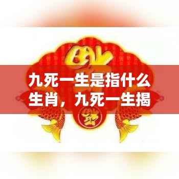 揭秘生肖传奇，九死一生背后的生肖秘密