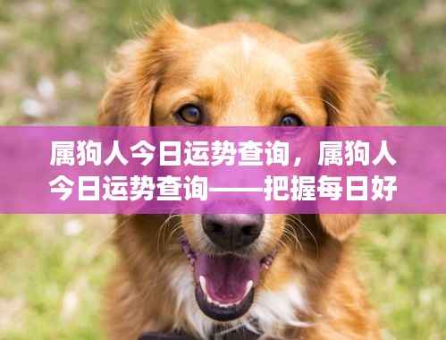 蛾眉曼睩 第5页