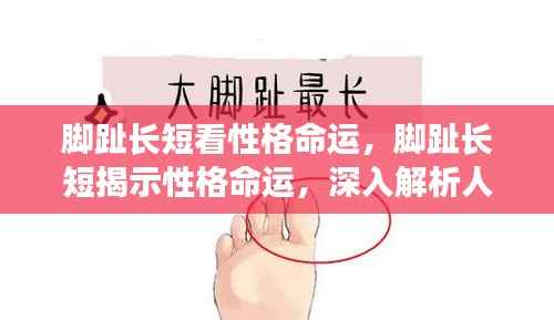 无独有偶 第5页