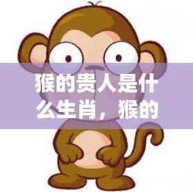 猴的贵人相助，生肖互助联盟揭秘，猴的贵人是什么生肖？