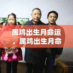属鸡出生月份与命运解析，揭秘不同月份出生的鸡年人的性格与未来运势走向