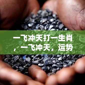 一飞冲天运势飙升，生肖腾飞迎来好运兆头