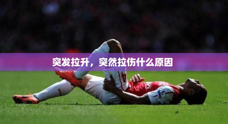 巧舌如簧 第4页