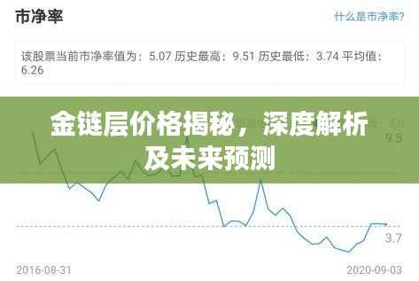 金链层价格揭秘，深度解析及未来预测