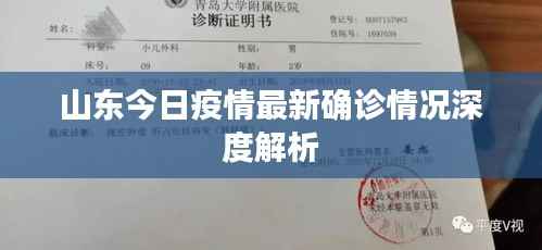 山东今日疫情最新确诊情况深度解析