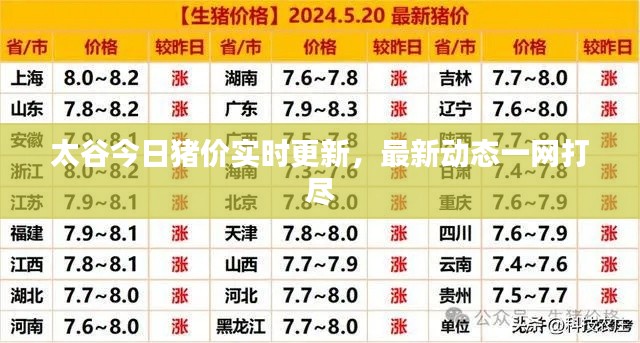 尽心尽力 第4页