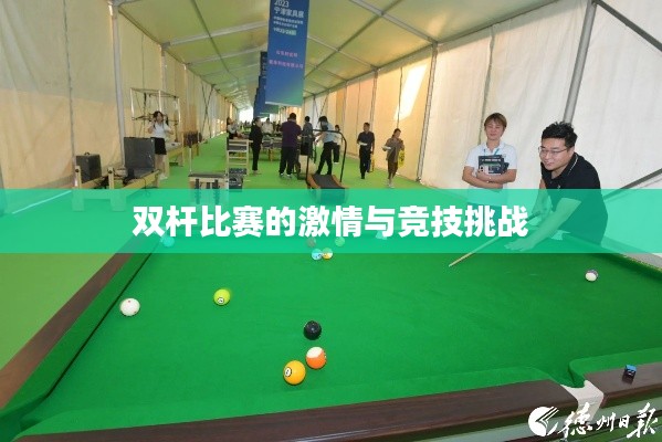 双杆比赛的激情与竞技挑战