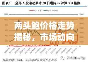 两头鲍价格走势揭秘，市场动向与影响因素深度解析