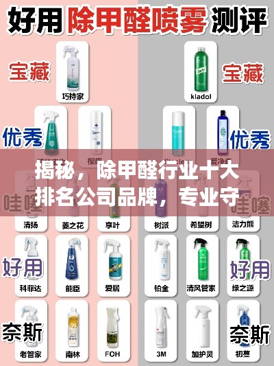 揭秘，除甲醛行业十大排名公司品牌，专业守护健康呼吸